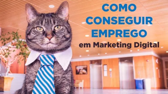 Como Conseguir Emprego em Marketing Digital