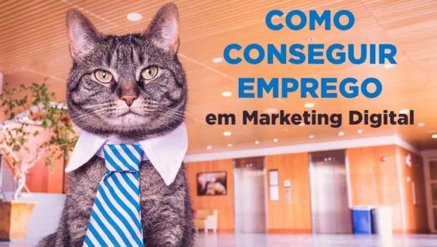 Como Conseguir Emprego em Marketing Digital